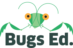 Bugs Ed. Risk Assessment